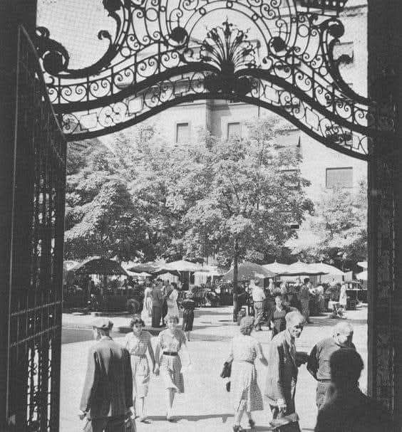 Trg Bratstva i Jedinstva 1950. godine, pogled iz Oktogona (Foto Marija Braut)